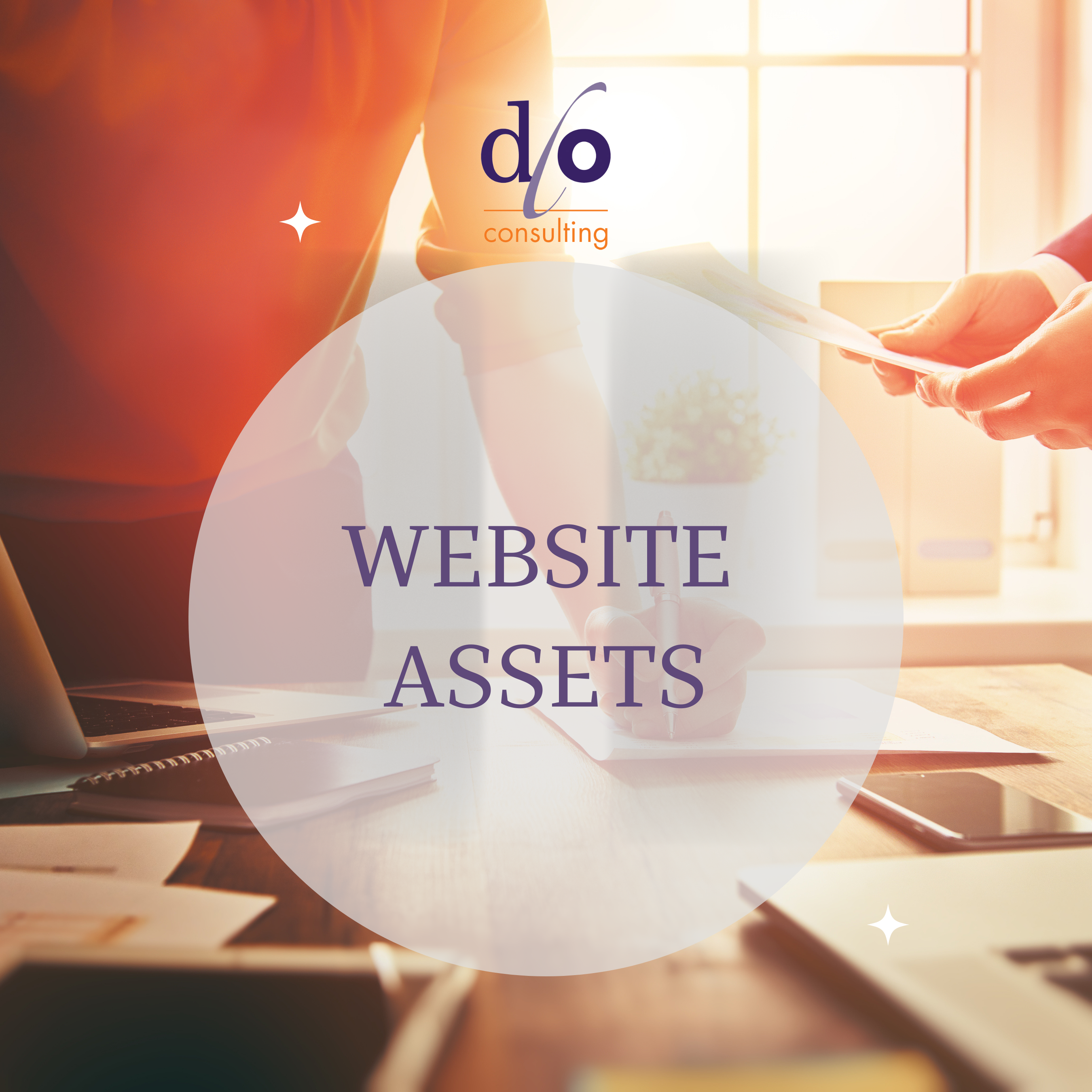 DLO-Consulting Website Assets